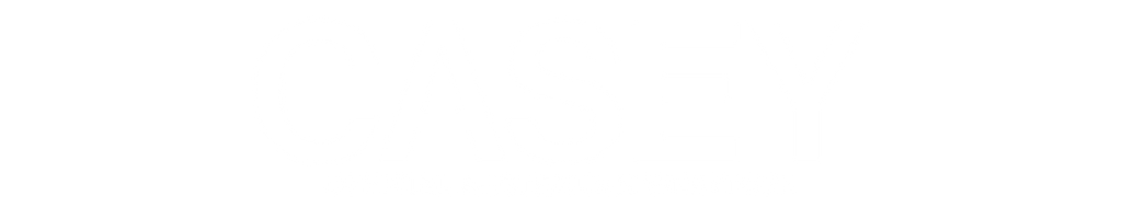 Artist First