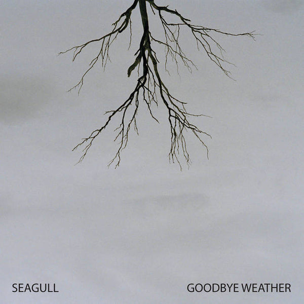 Seagull Goodbye Weather CD