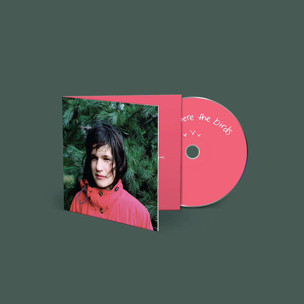 Kim Deal - Hours Were the Birds CD