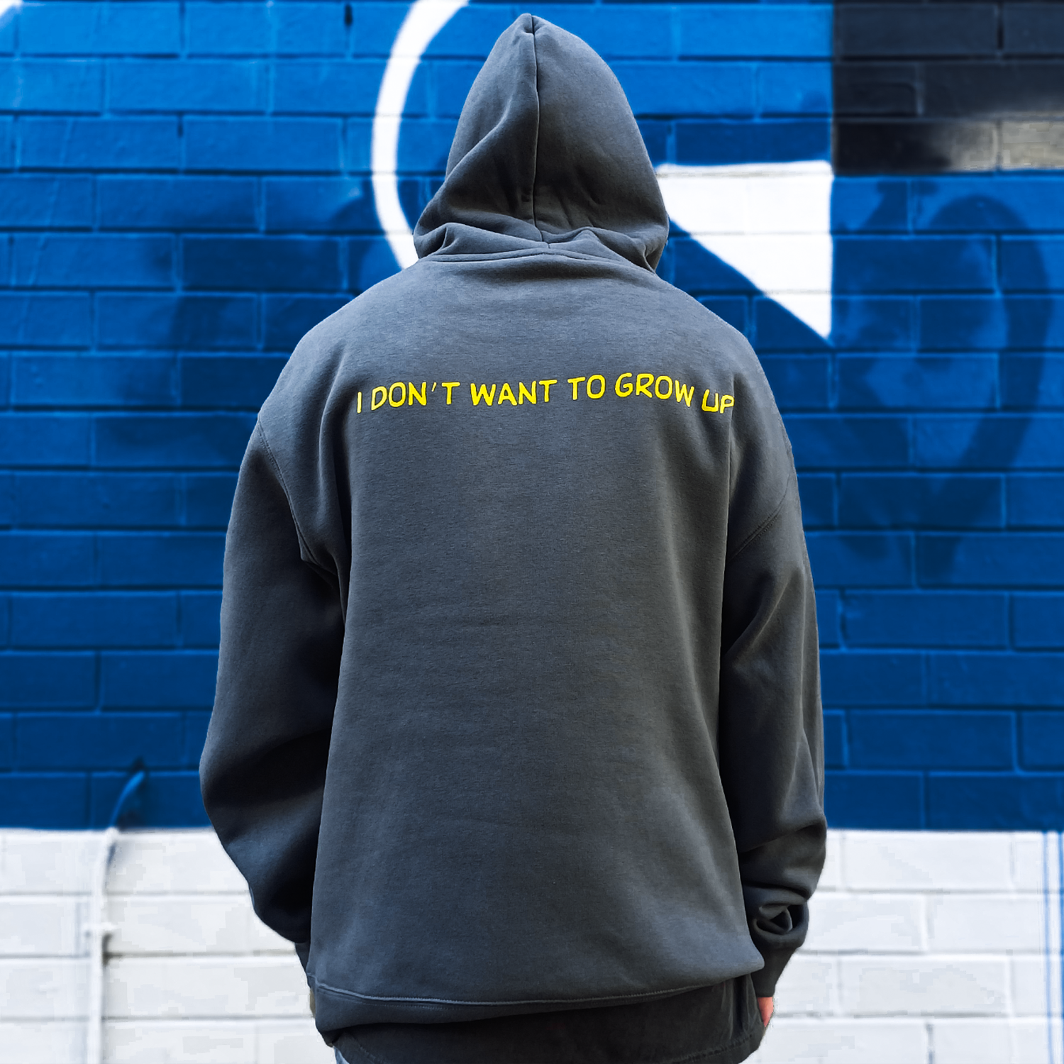 Descendents - I Don’t Want To Grow Up Hoodie (Shadow Grey)