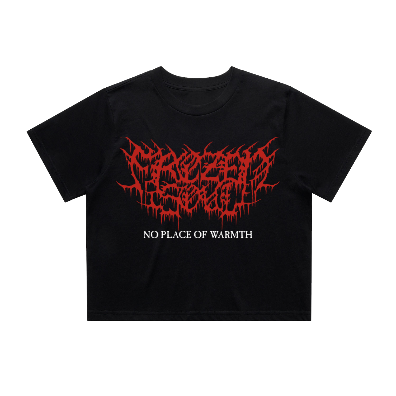 Frozen Soul - No Place of Warmth Crop Tee (Black)