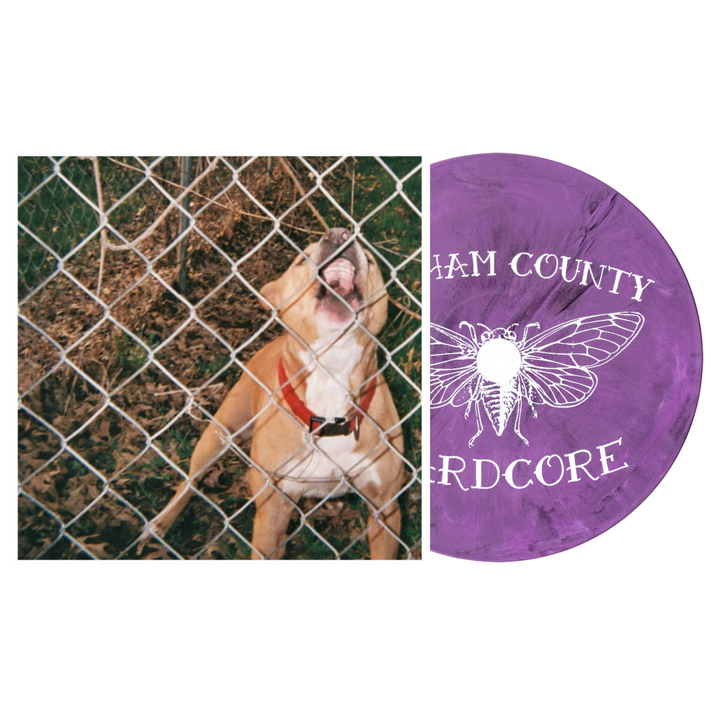 Knocked Loose - Pop Culture 12" Vinyl (Lavender Eco-Mix)