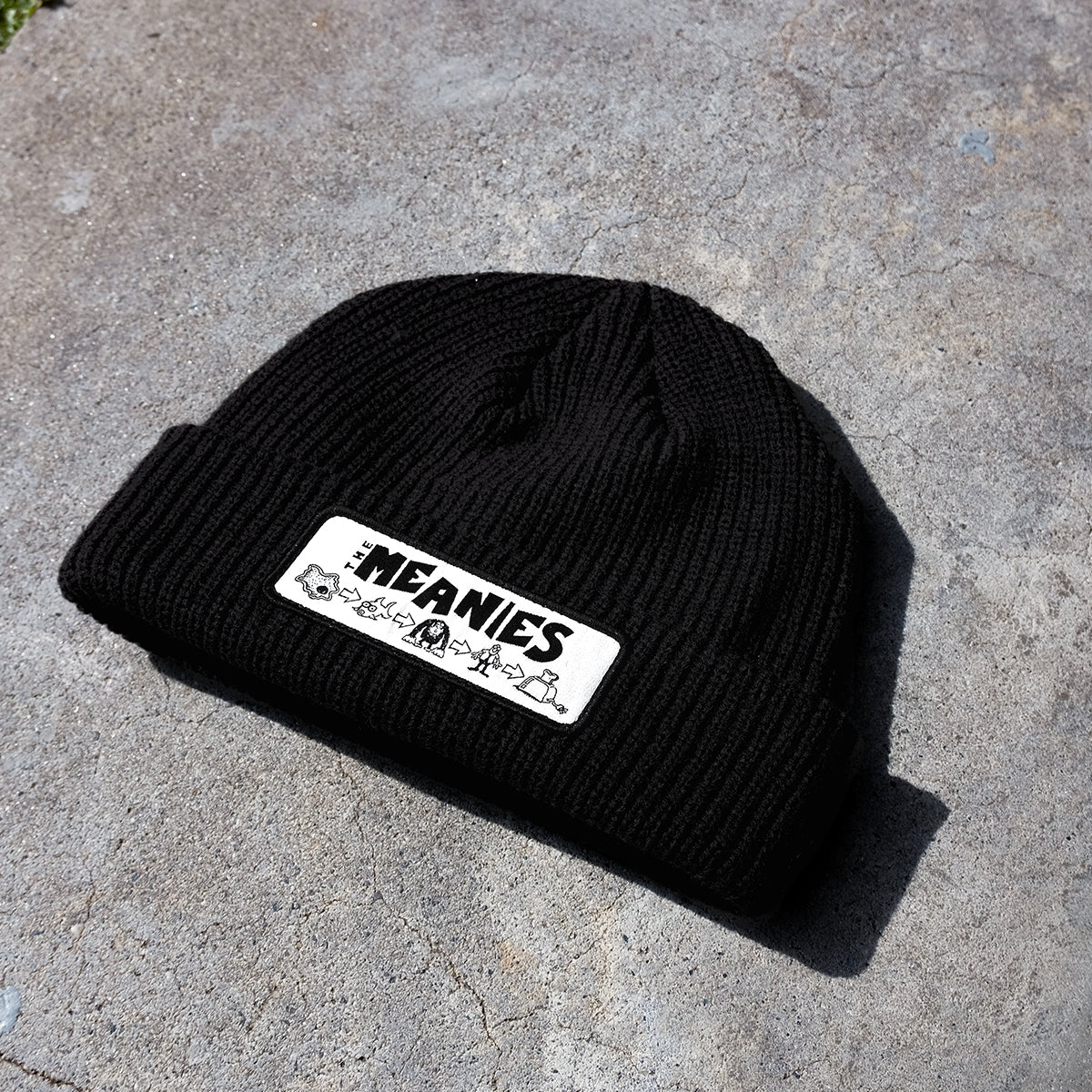 The Meanies - Evolution Beanie