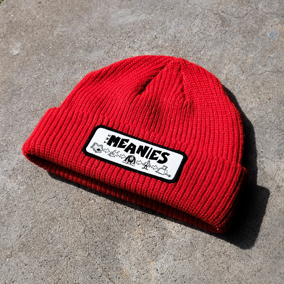 The Meanies - Evolution Beanie
