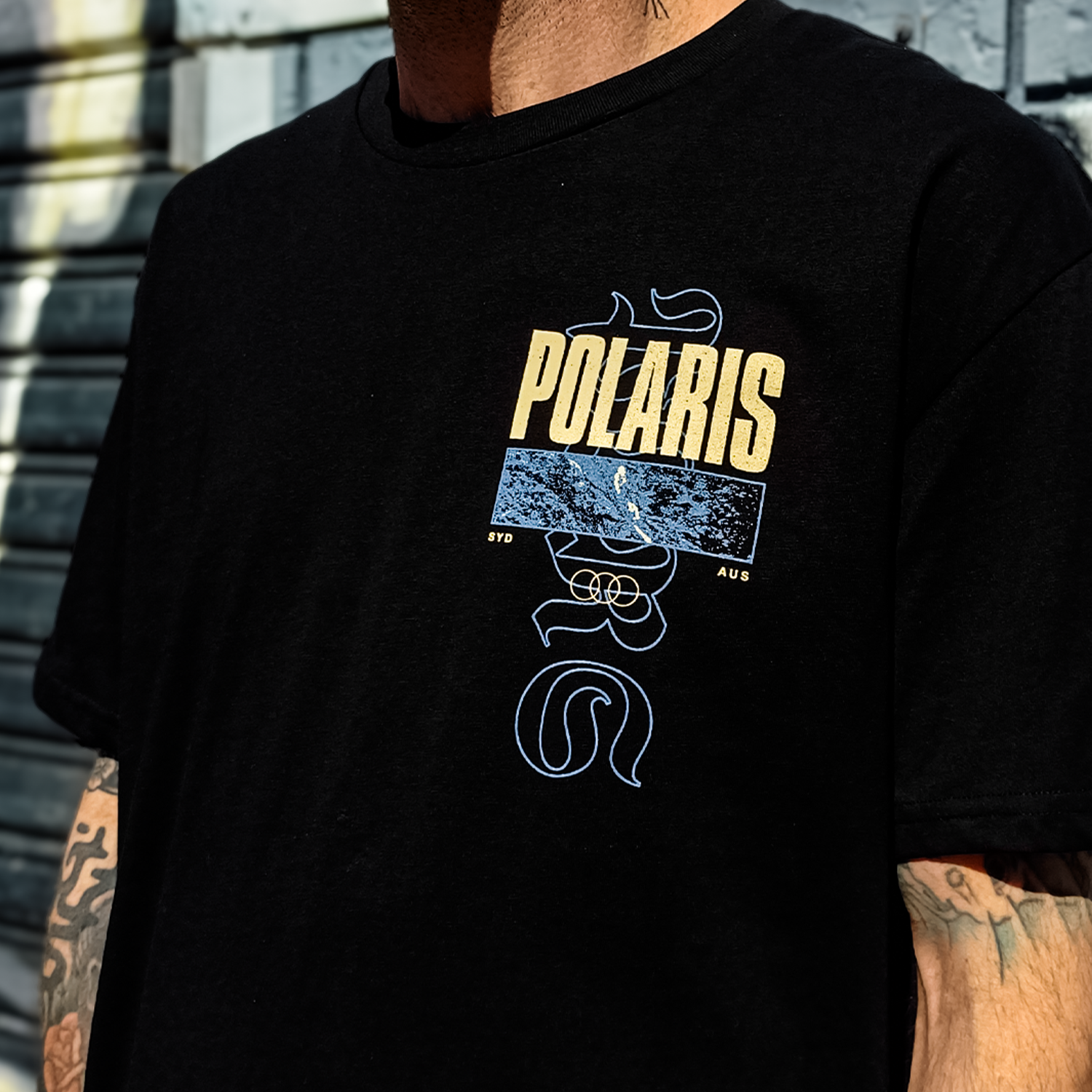 Polaris - Birds T-Shirt (Black)