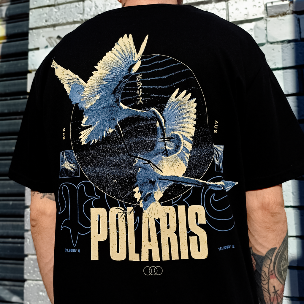 Polaris - Birds T-Shirt (Black)