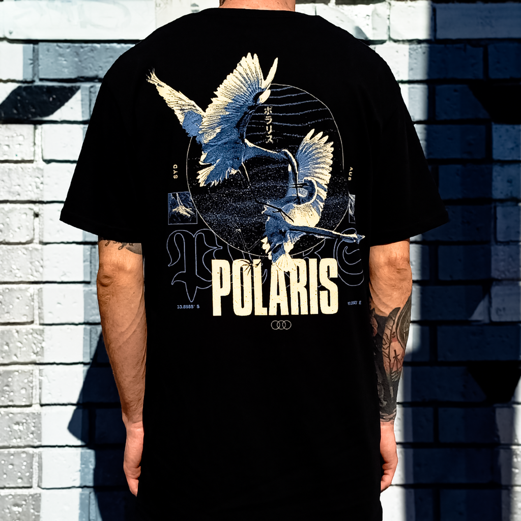 Polaris - Birds T-Shirt (Black)