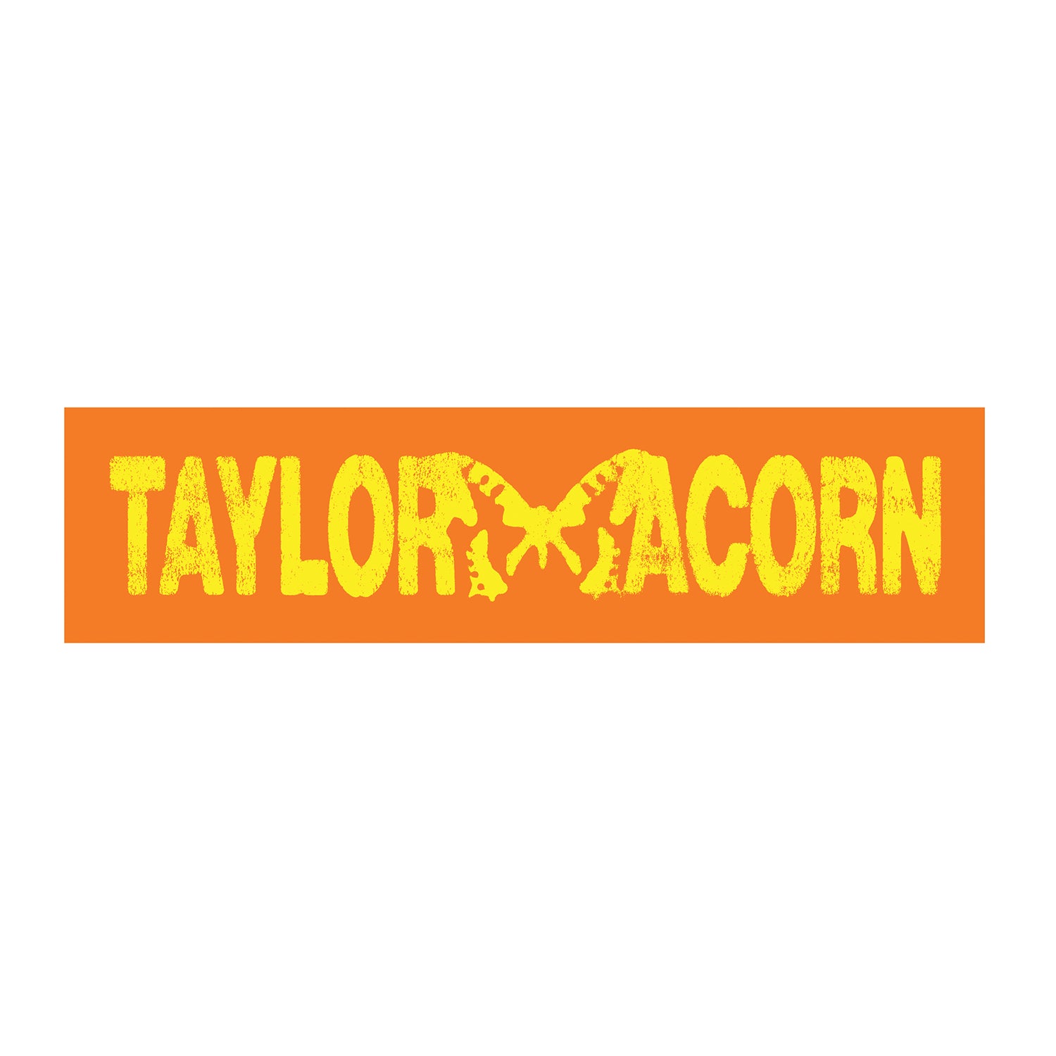 Taylor Acorn - Orange Bumper Sticker