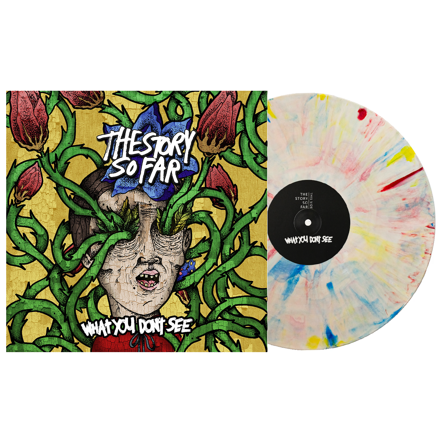 The Story So Far - What You Don't See LP (Crayons Marble Vinyl)