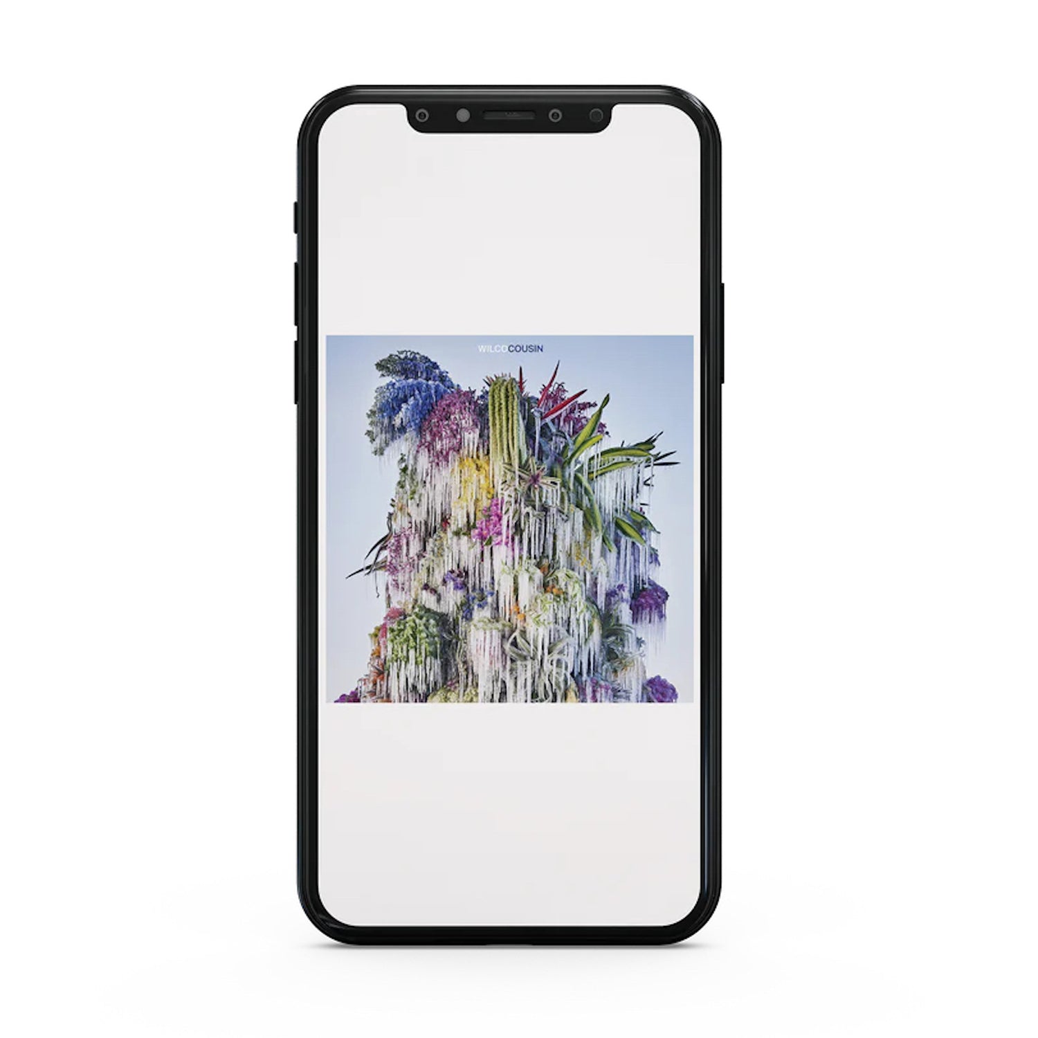 Wilco - Cousin Digital Download