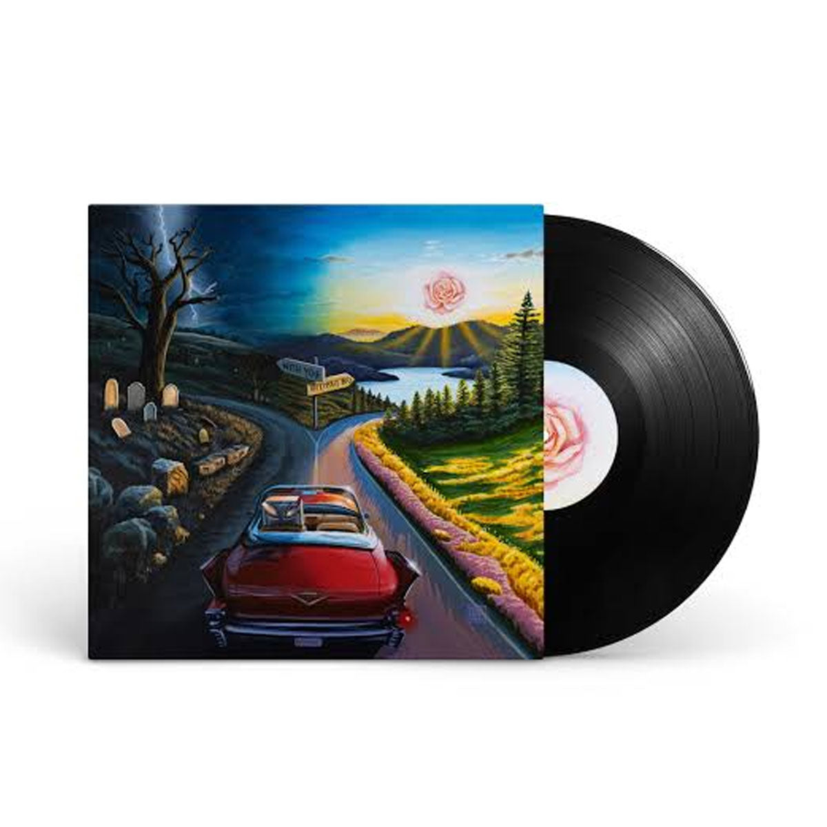 I Don't Wanna Say Goodbye LP (Black Vinyl)