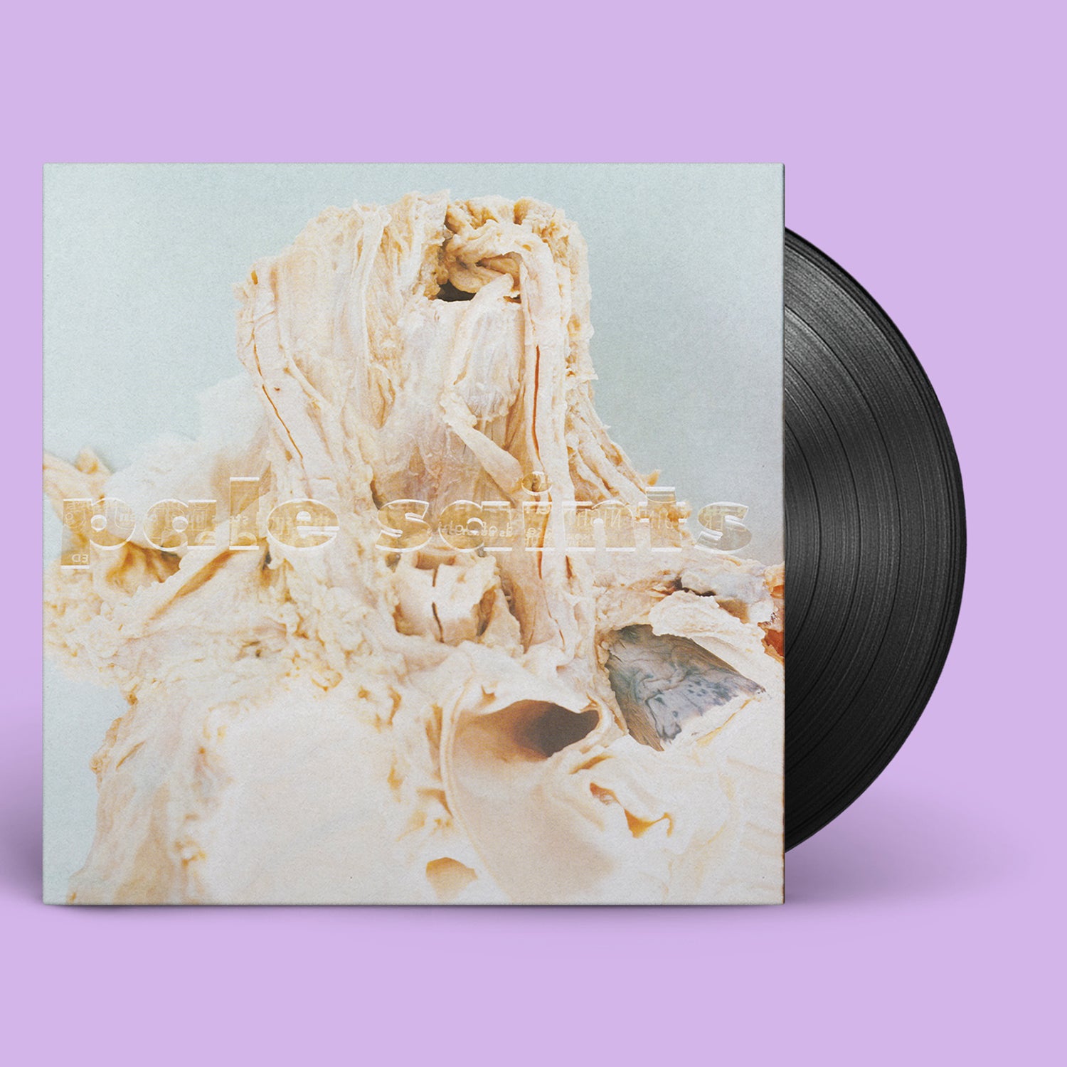 Pale Saints - In Ribbons (Expanded 30th Anniversary Edition) LP (Black Vinyl)