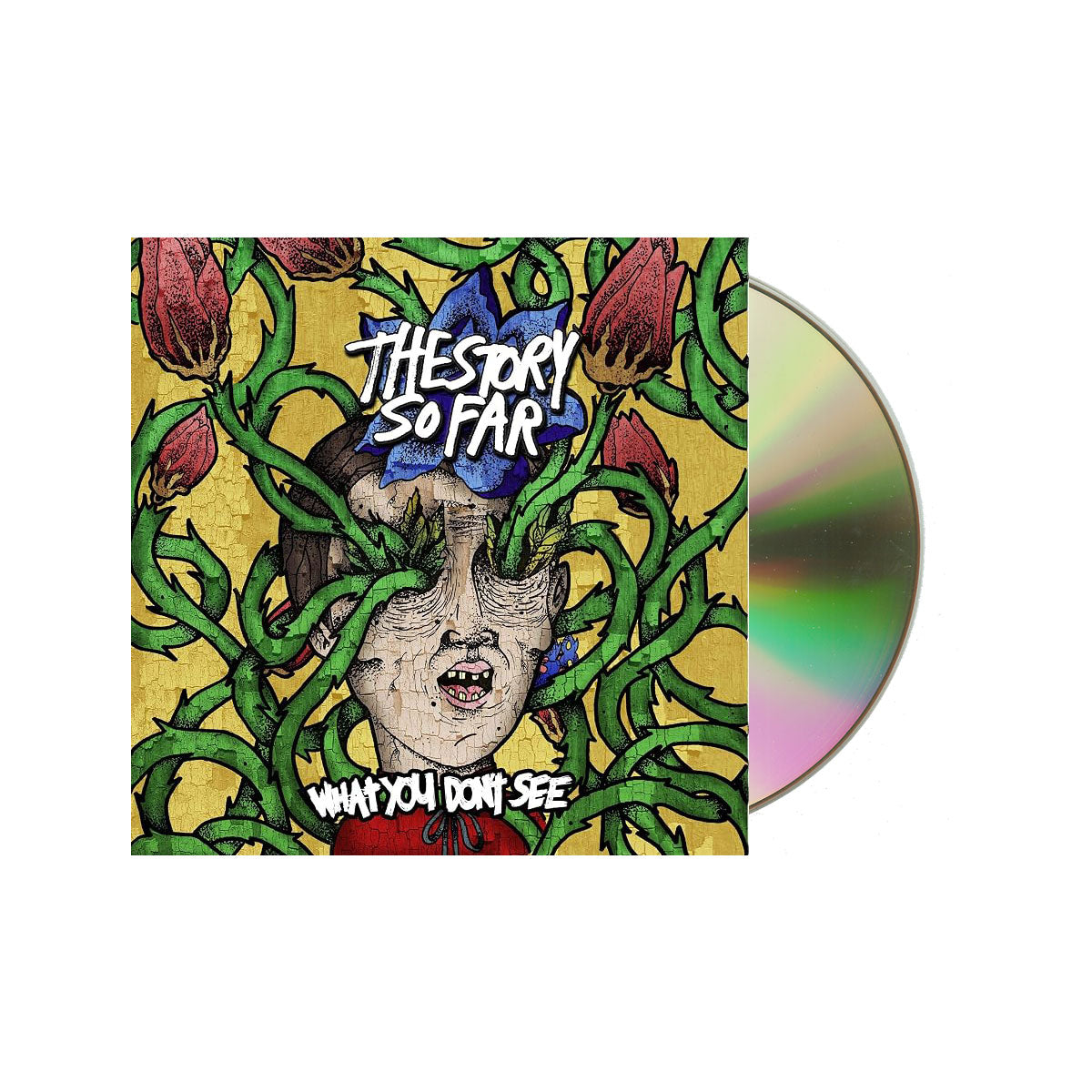 The Story So Far - What You Don't See CD