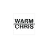 Aldous Harding - Warm Chris CD + Signed Poster