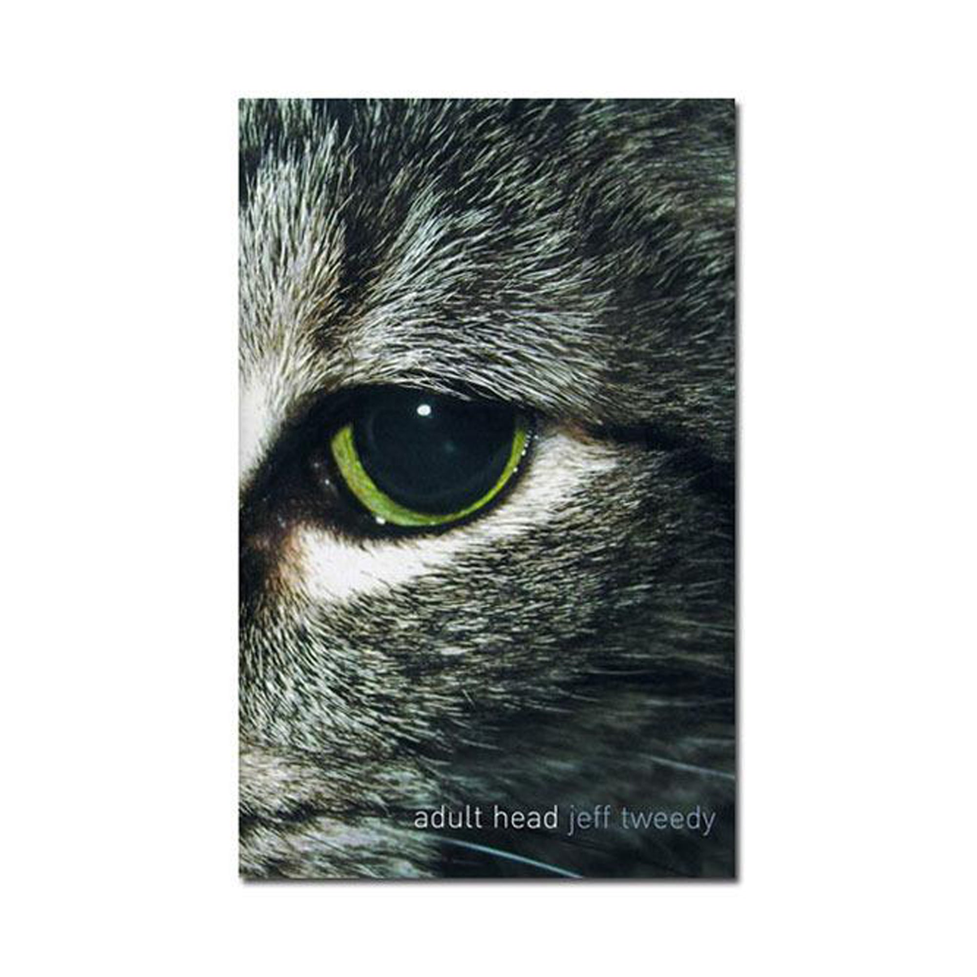 Jeff Tweedy - Adult Head Book