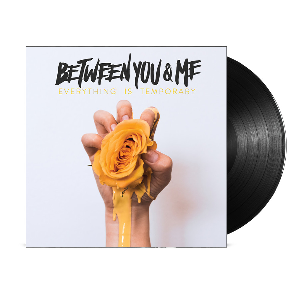 Between You & Me - Everything Is Temporary LP (Black)