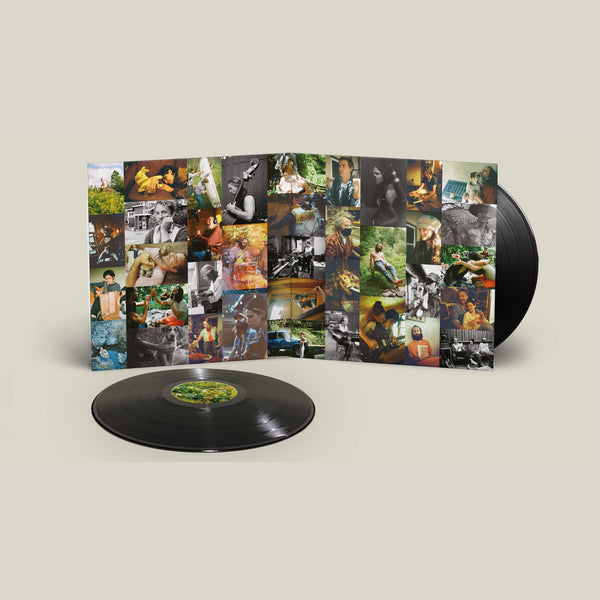 Big Thief - Dragon New Warm Mountain I Believe In You 2LP (Black Vinyl)