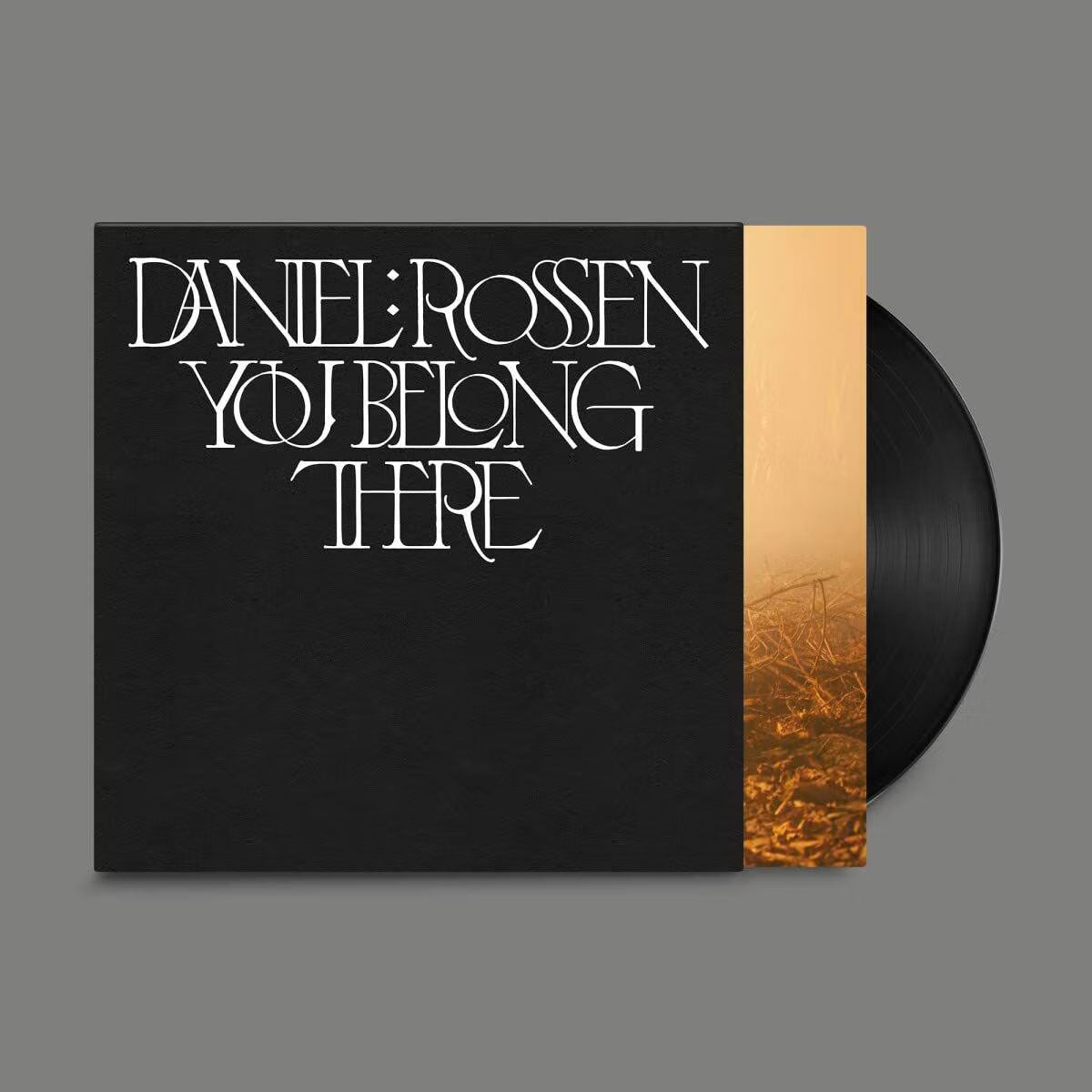 You Belong There LP (Black)