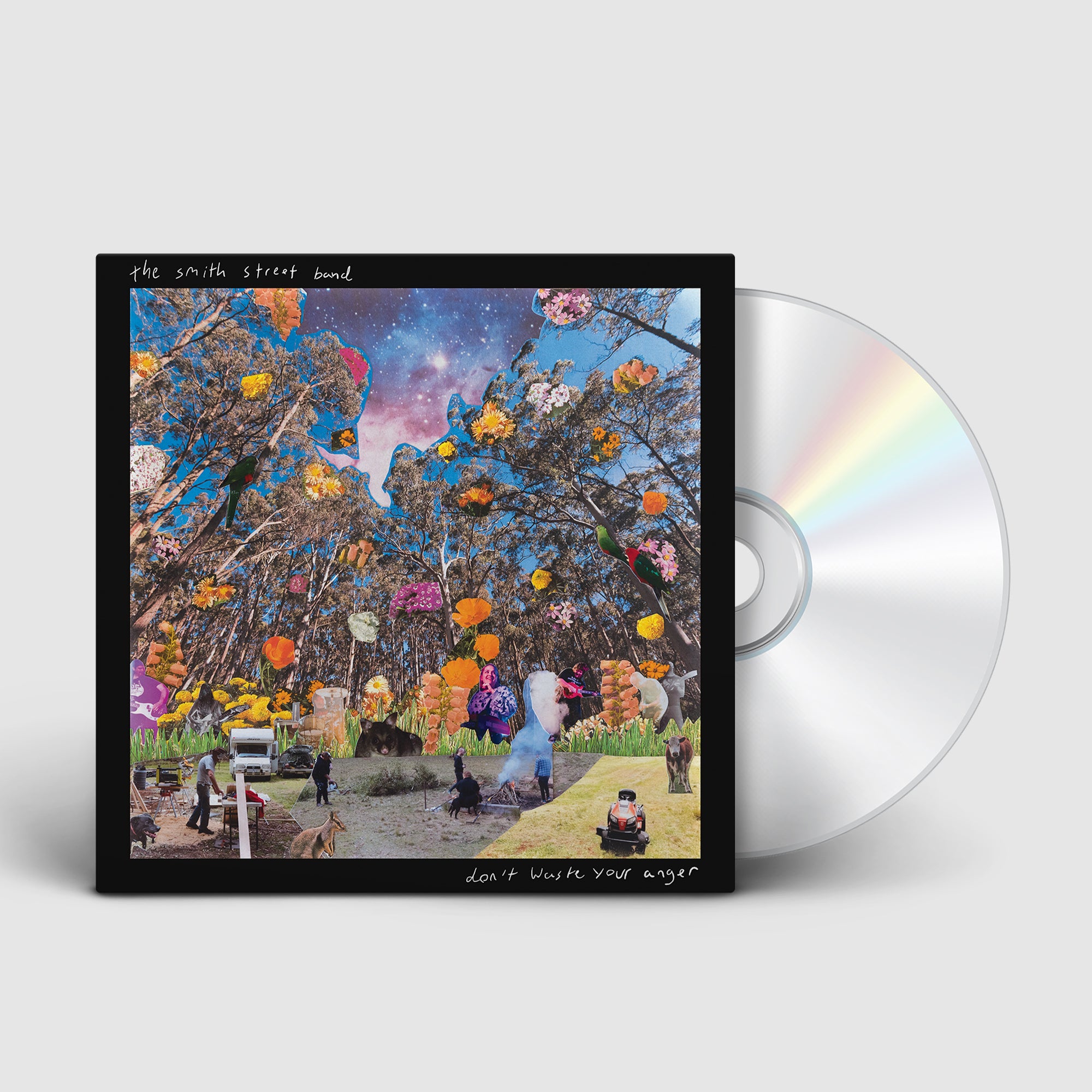 The Smith Street Band - Don't Waste Your Anger CD