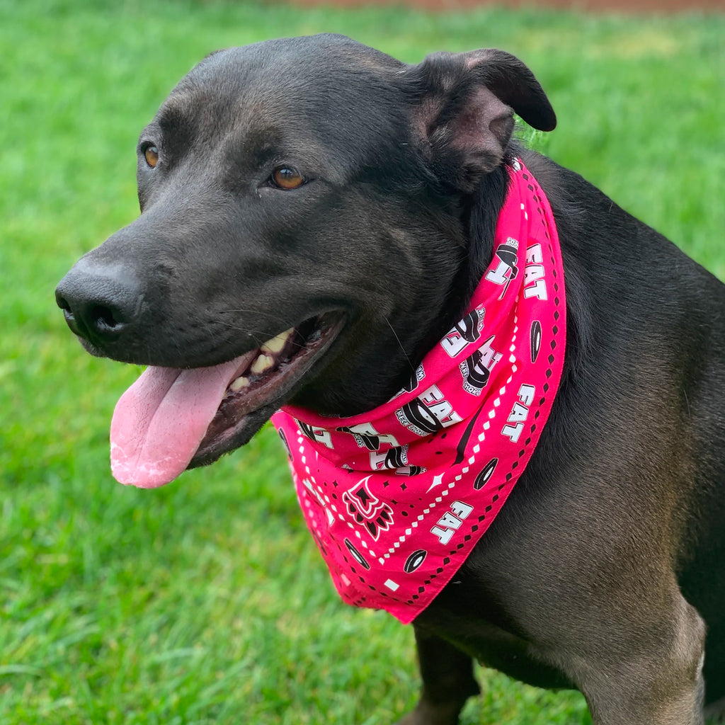 Fat Wreck Chords - Fat Bandana (Pink)