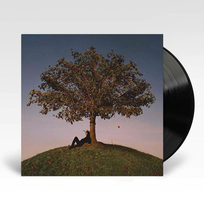 Slowthai - Tyron LP (Black Vinyl)