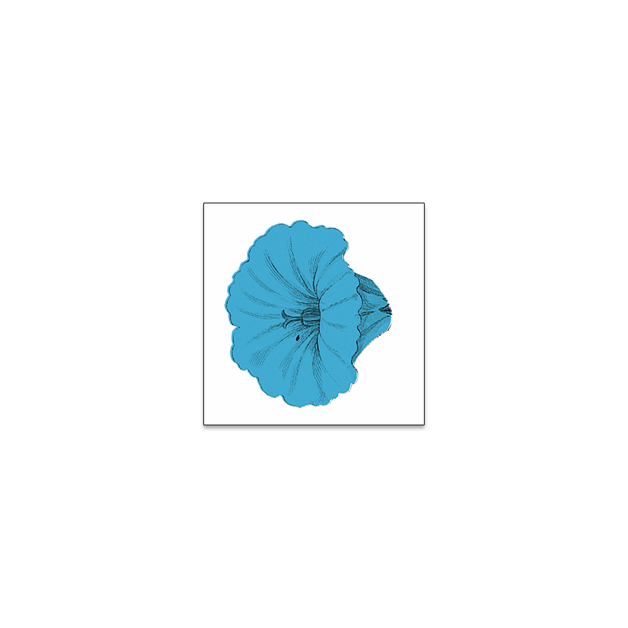 Bakers Eddy - Blue Flower Sticker 