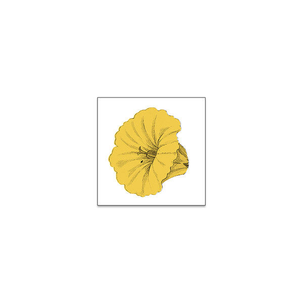 Bakers Eddy - Yellow Flower Sticker