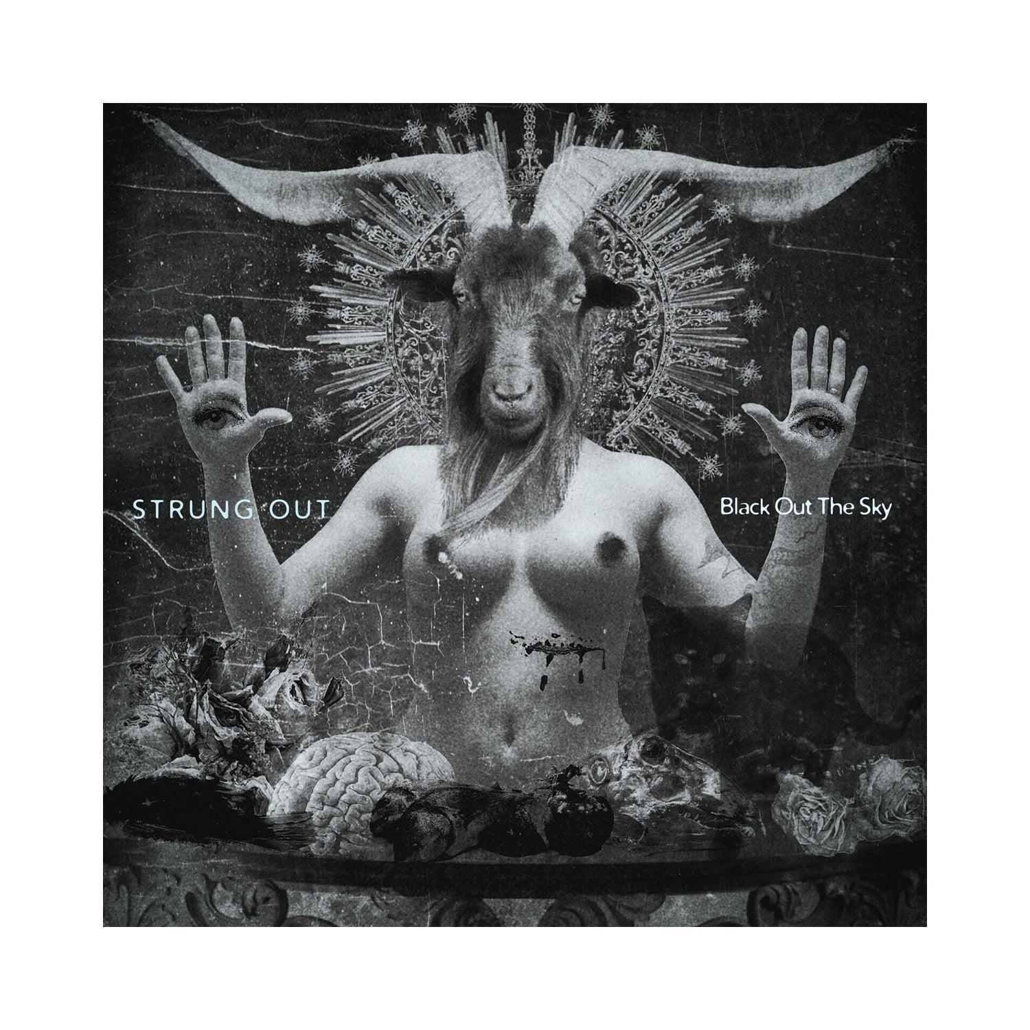 Strung Out - Black Out The Sky CD