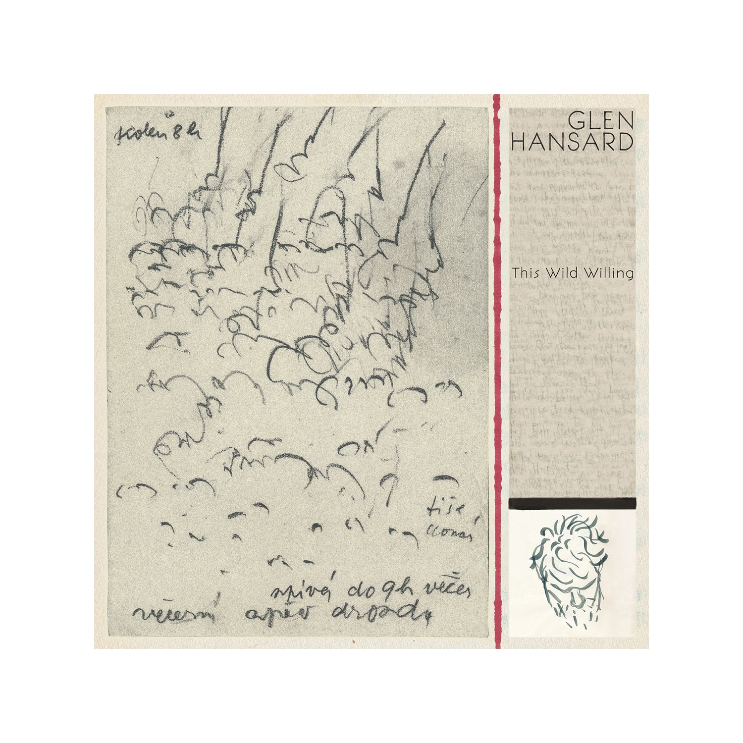 Glen Hansard - This Wild Willing CD