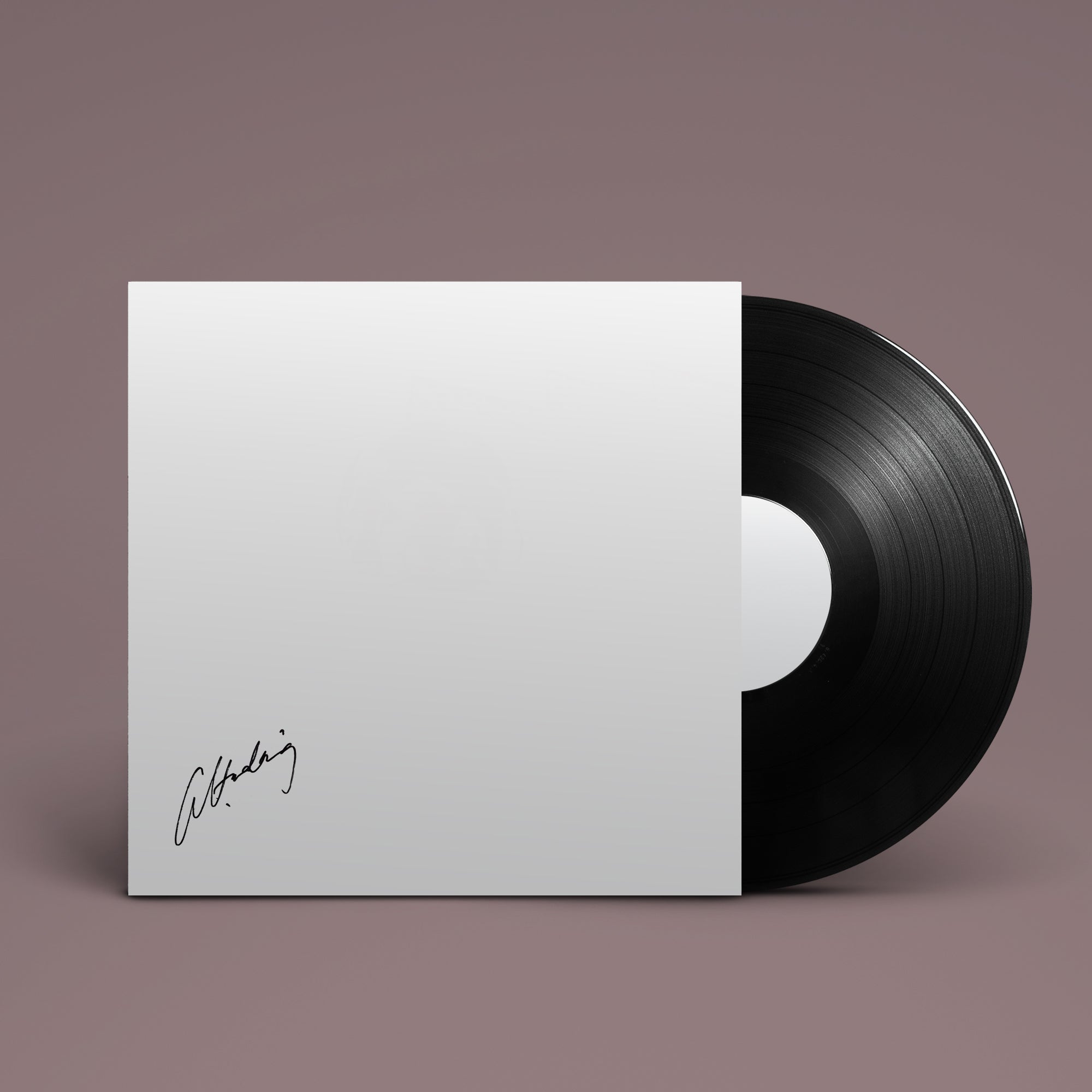 Aldous Harding - Warm Chris LP (Black) + Signed Poster