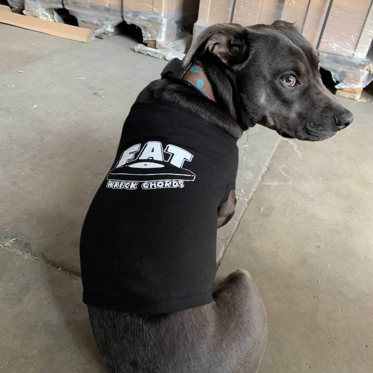 Fat Wreck Chords - Fat Wreck Chords Dog T-Shirt (Black)