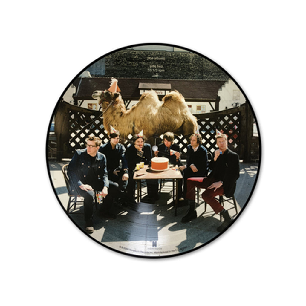 Wilco - Wilco (The Album) Picture Disc (Vinyl)